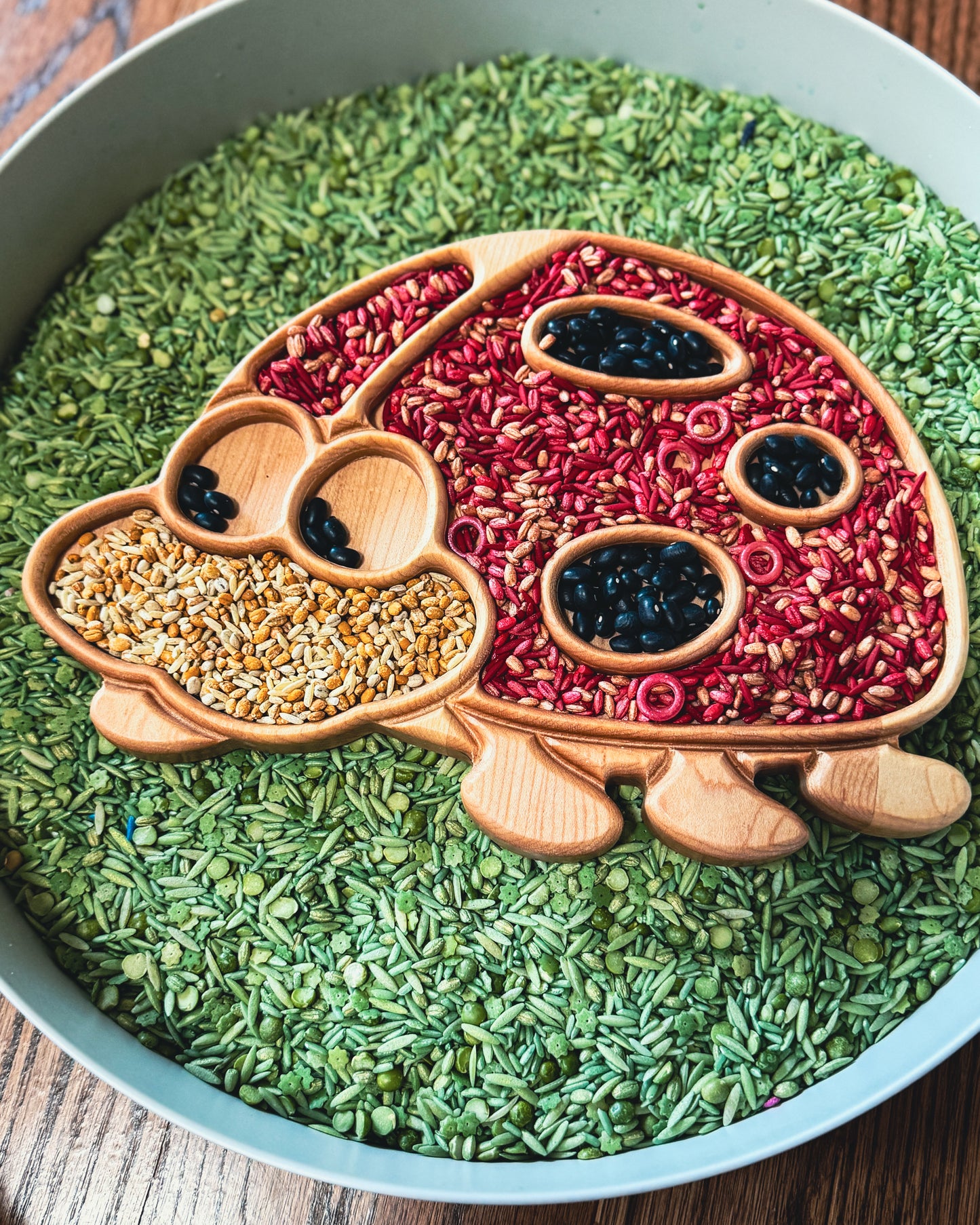 Ladybug Imaginative Play Tray