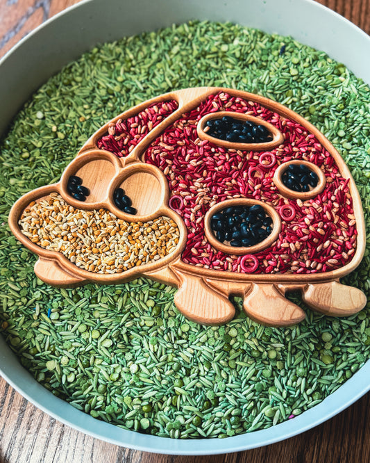 Ladybug Imaginative Play Tray