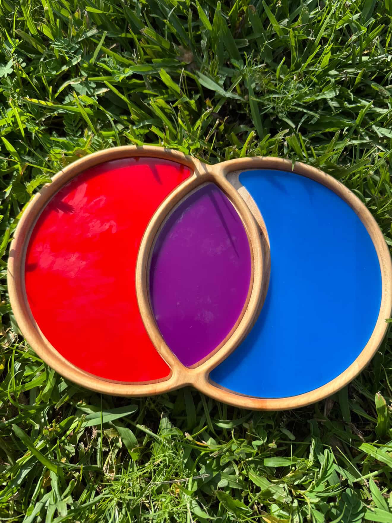 Venn Diagram Tray
