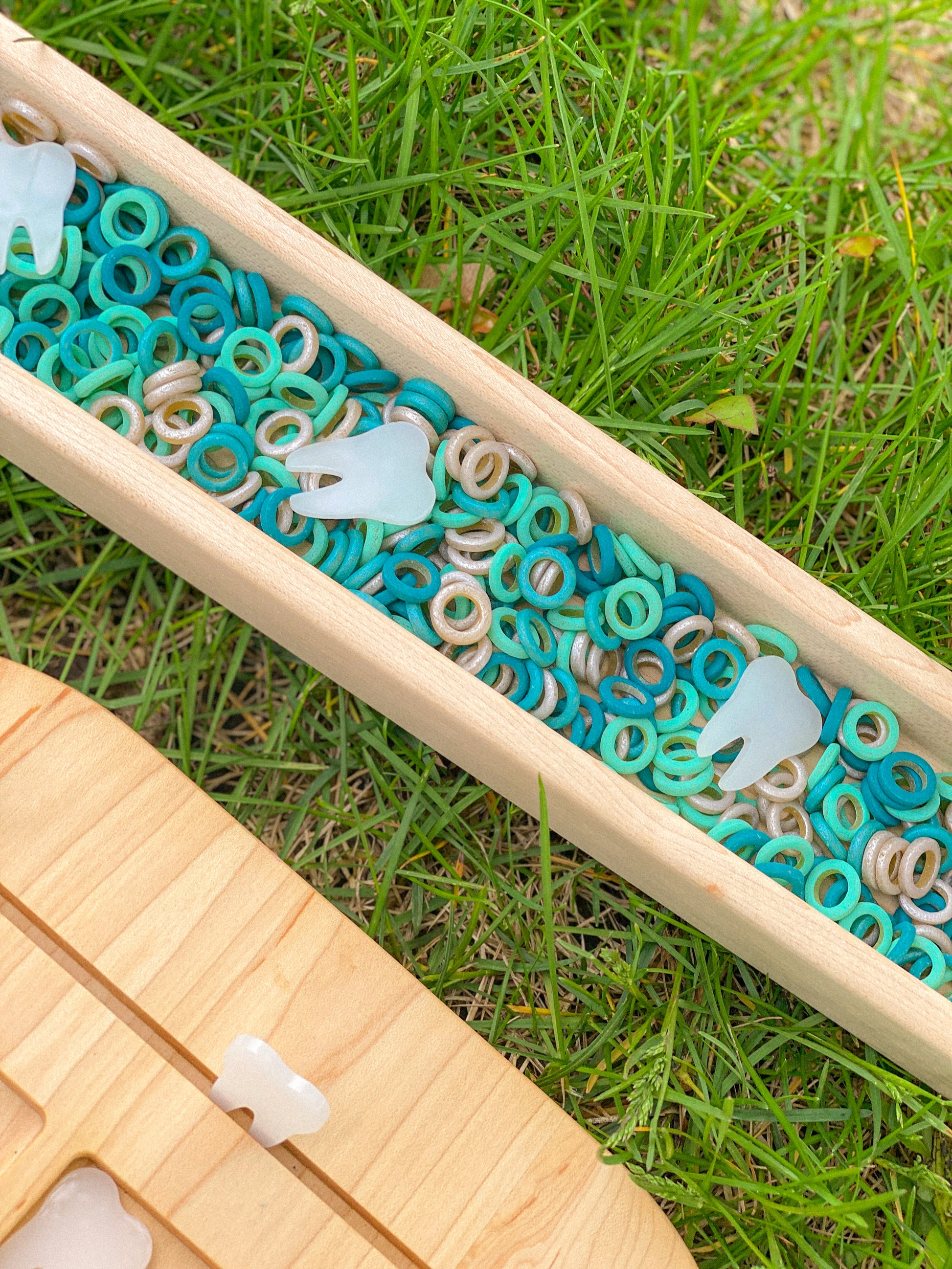 Acrylic Tooth Counters – ButtonandBug