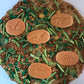 Prehistoric Plants Sensory Bin Filler