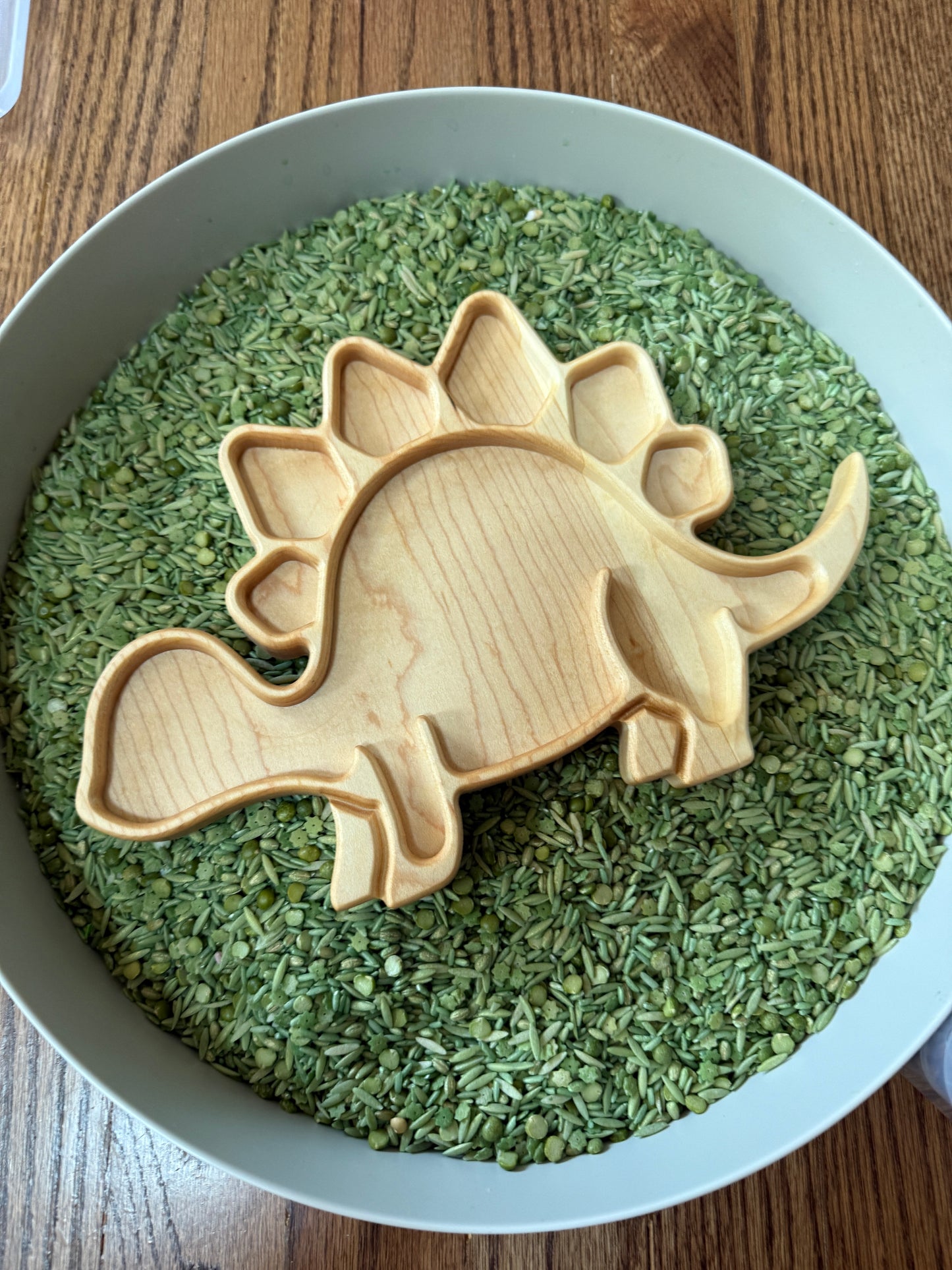 Stegosaurus Imaginative Play Tray