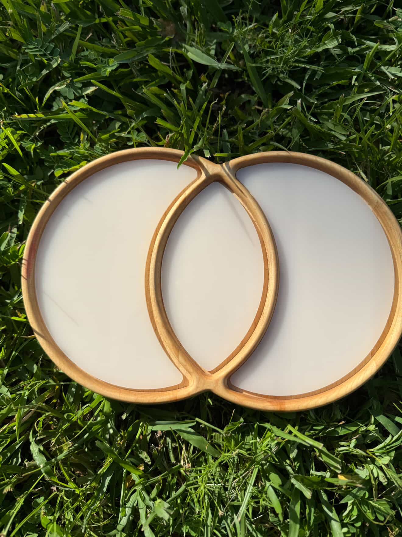 Venn Diagram Tray
