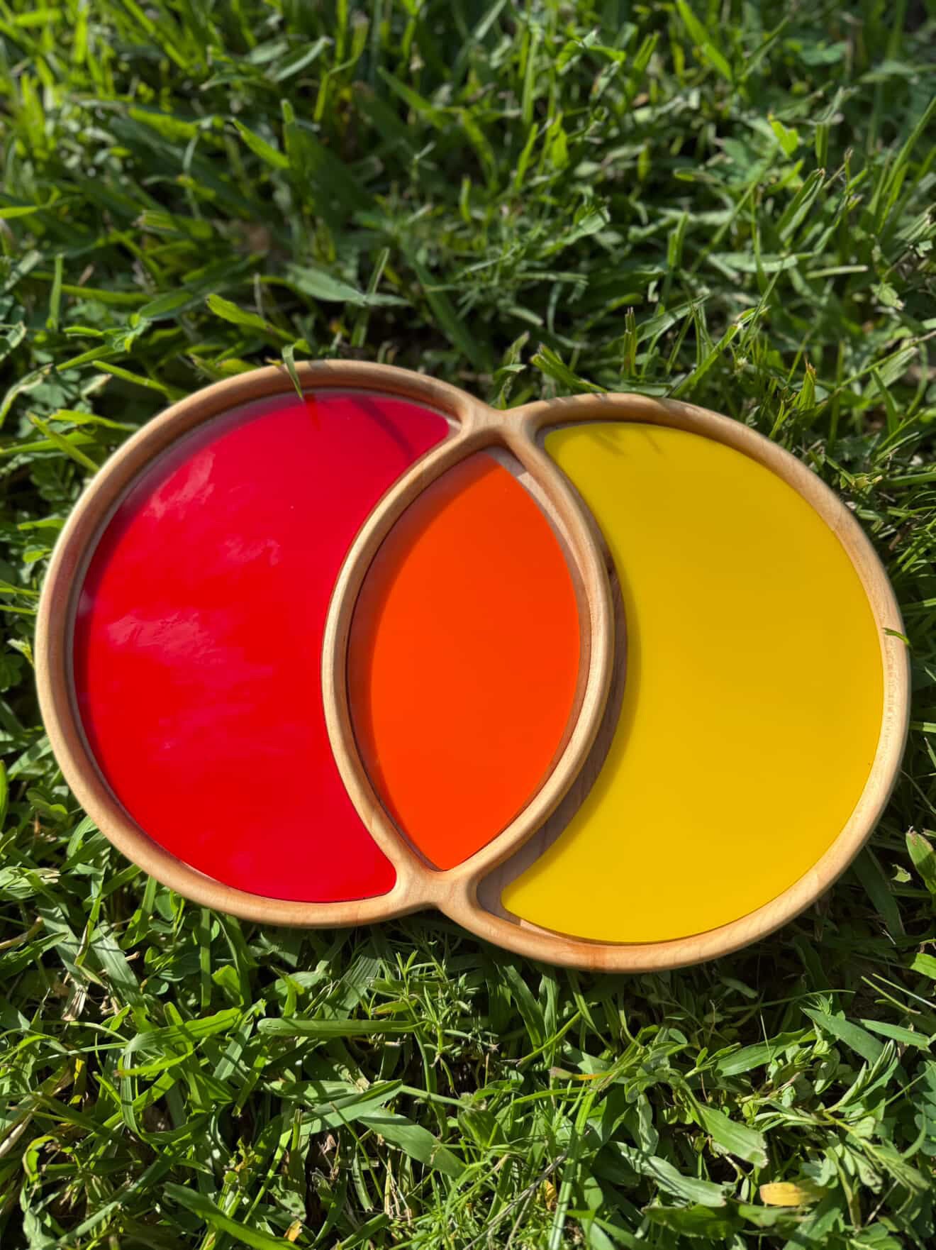 Venn Diagram Tray