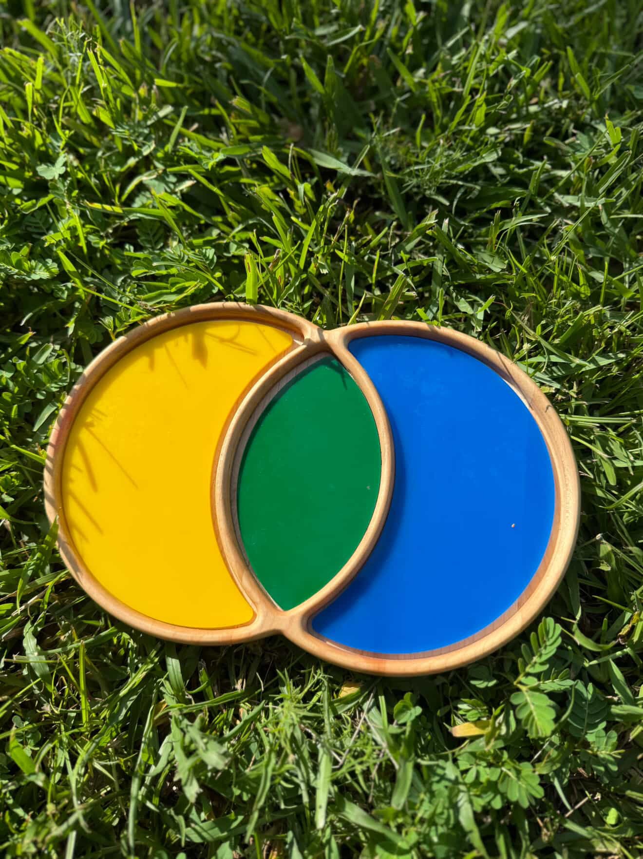 Venn Diagram Tray