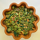 Prehistoric Plants Sensory Bin Filler