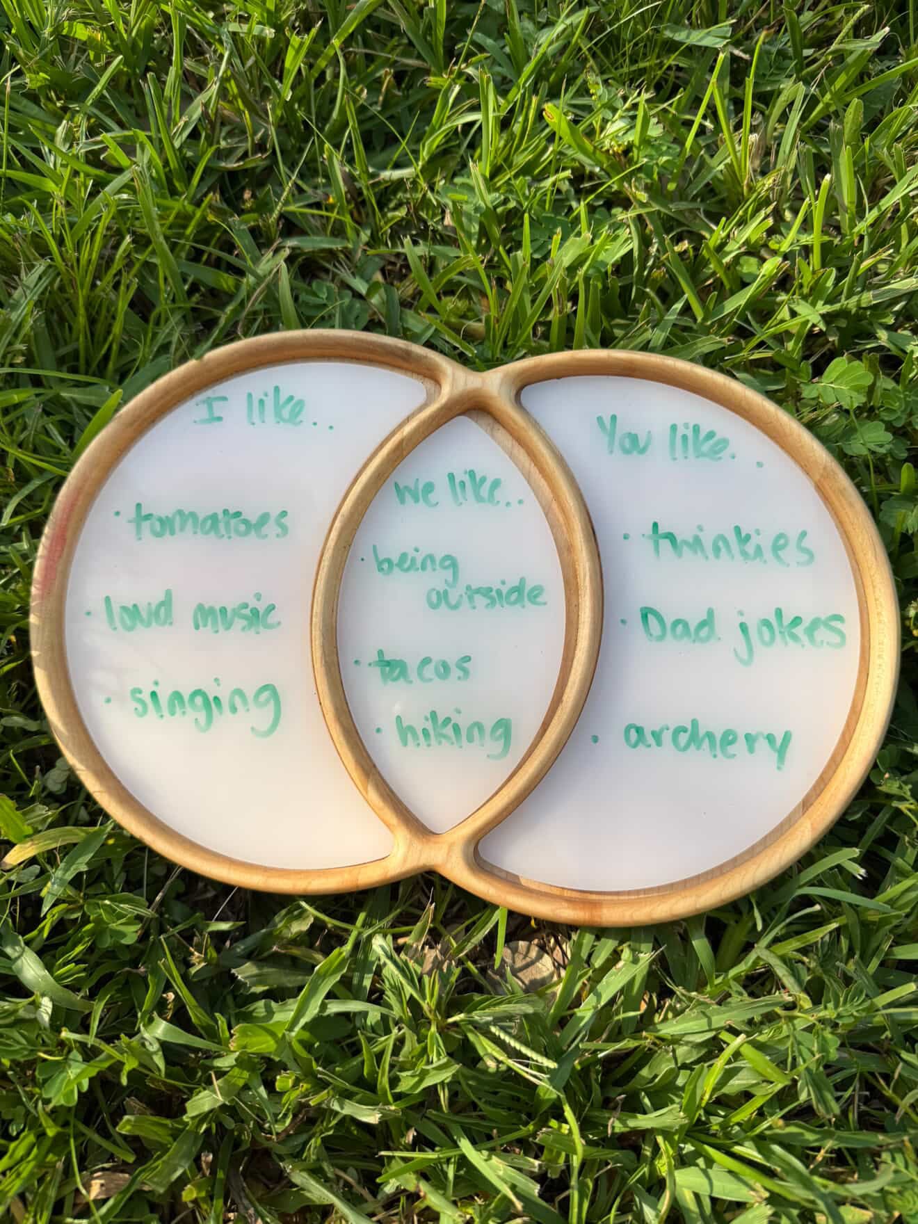 Venn Diagram Tray