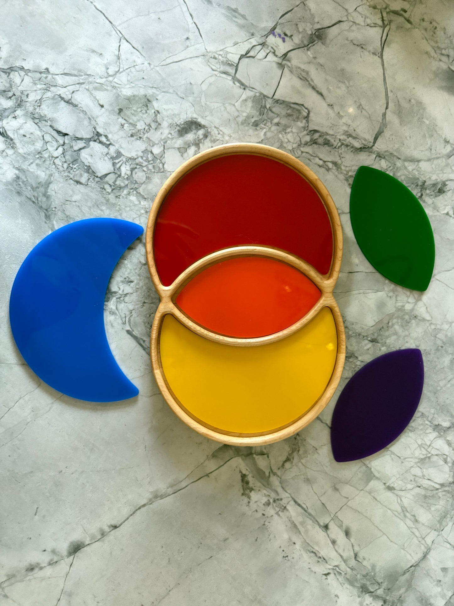 Venn Diagram Tray
