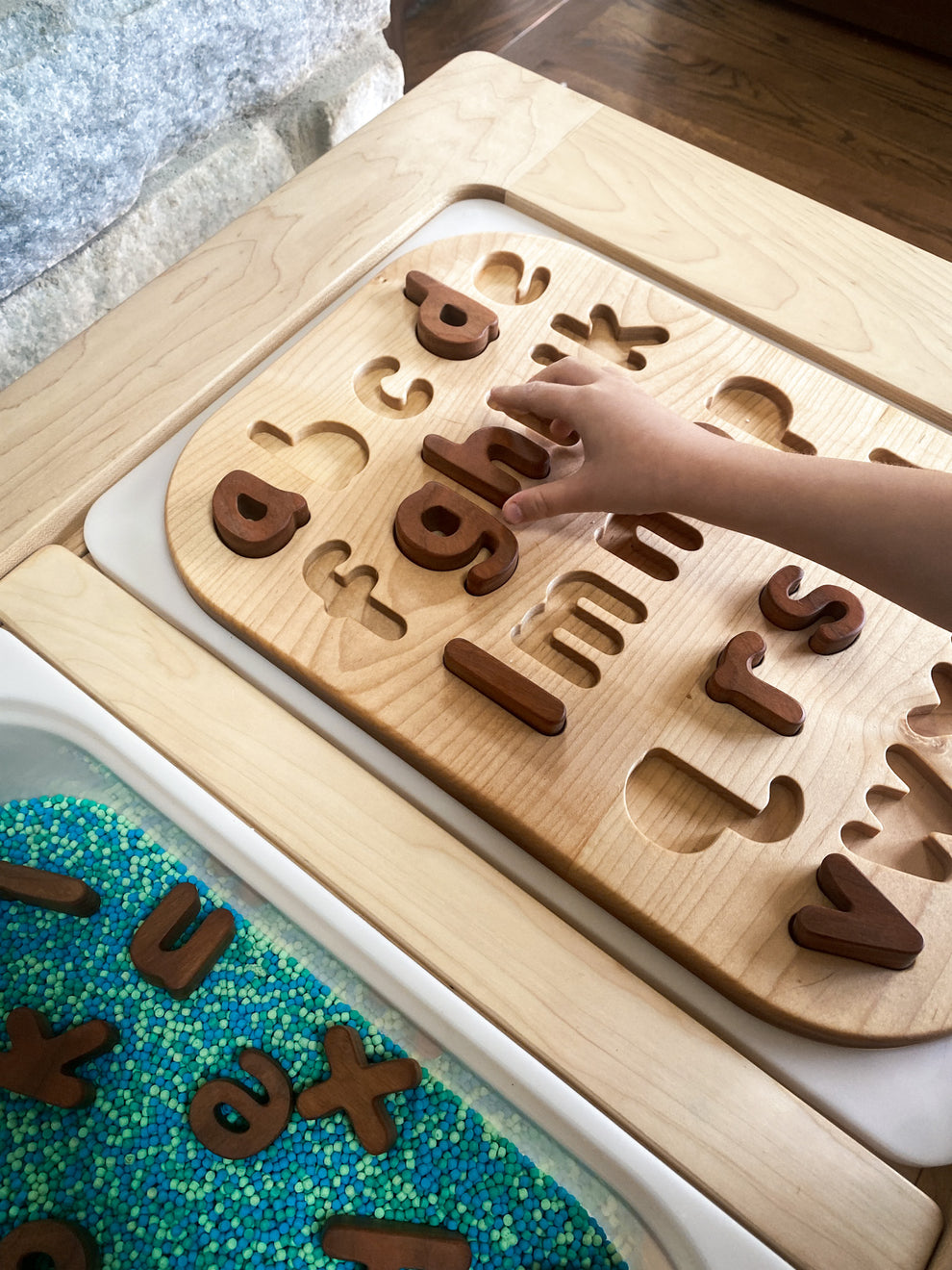 Lower Case Letter Puzzle Insert ButtonandBug