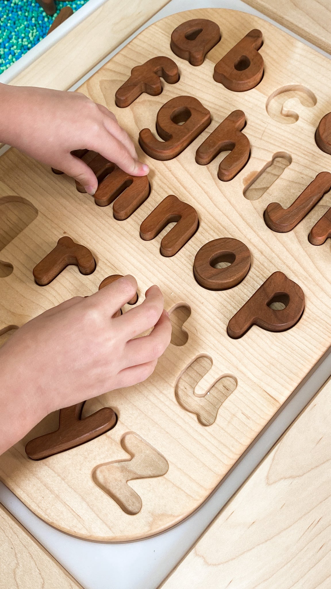 Lower Case Letter Puzzle Insert