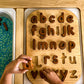 Lower Case Letter Puzzle Insert