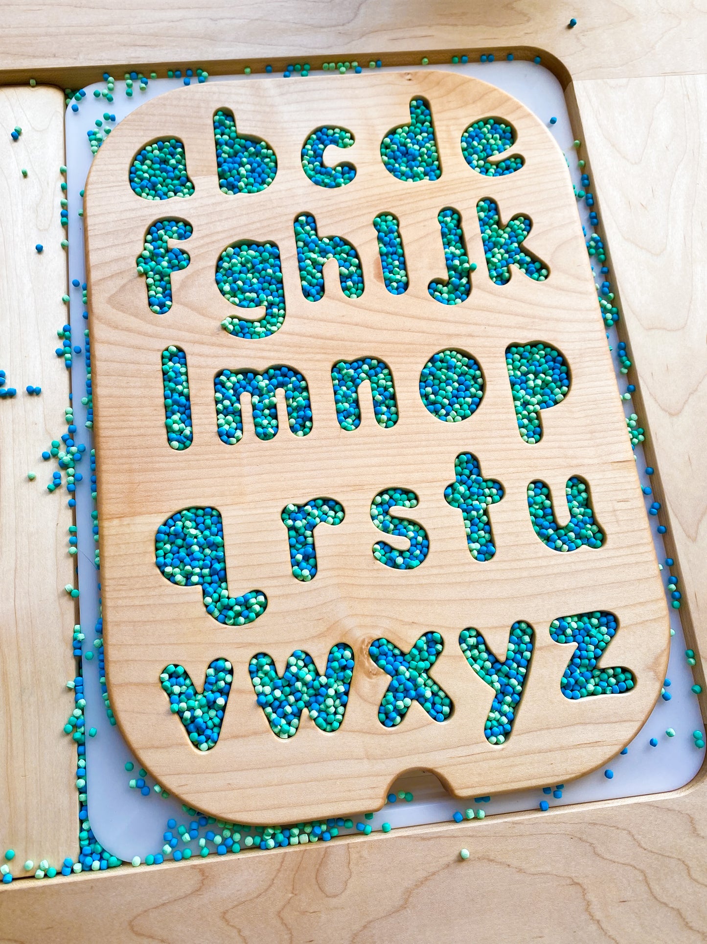 Lower Case Letter Puzzle Insert