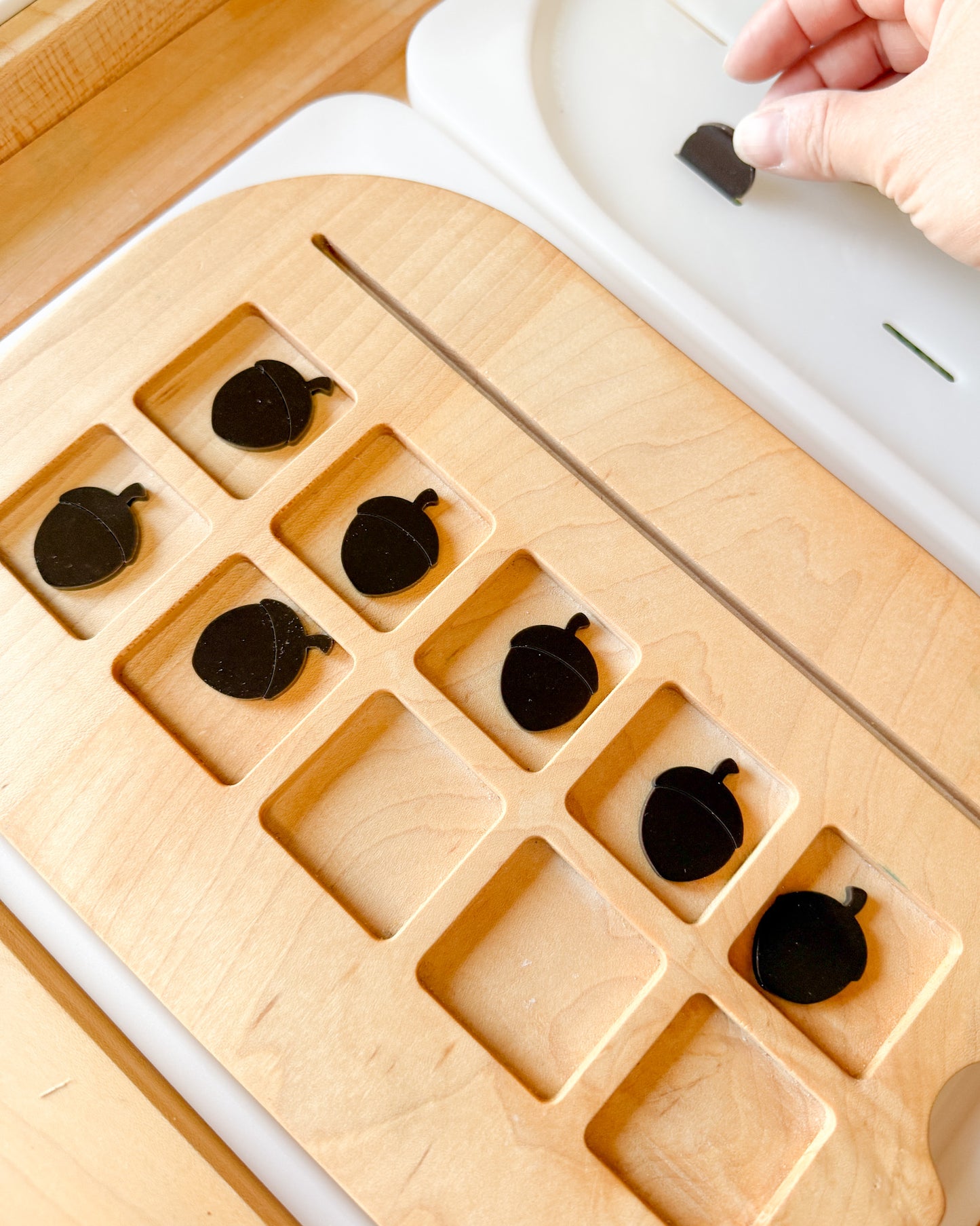 Acorn Acrylic Counter