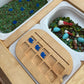 Bird Acrylic Counters