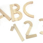 17 pc. Maple Learning Sticks Letter Number & Shape Building Block Set