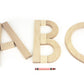 17 pc. Maple Learning Sticks Letter Number & Shape Building Block Set