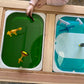 Carry-Play Land/Sea
