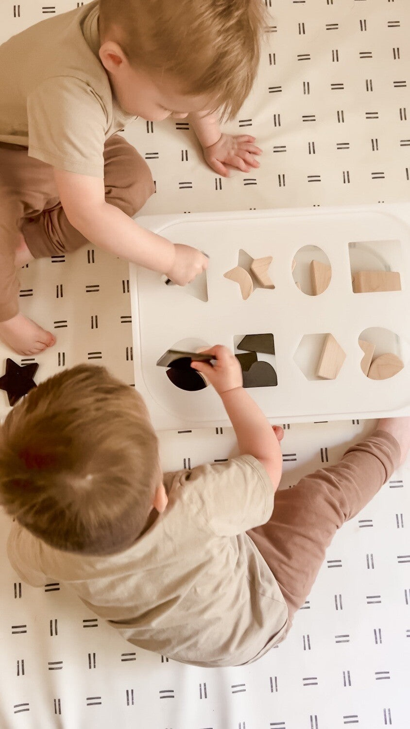 Carry-Play Shape Sorter Board