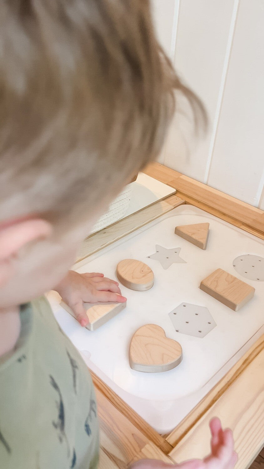 Carry-Play Shape Sorter Board