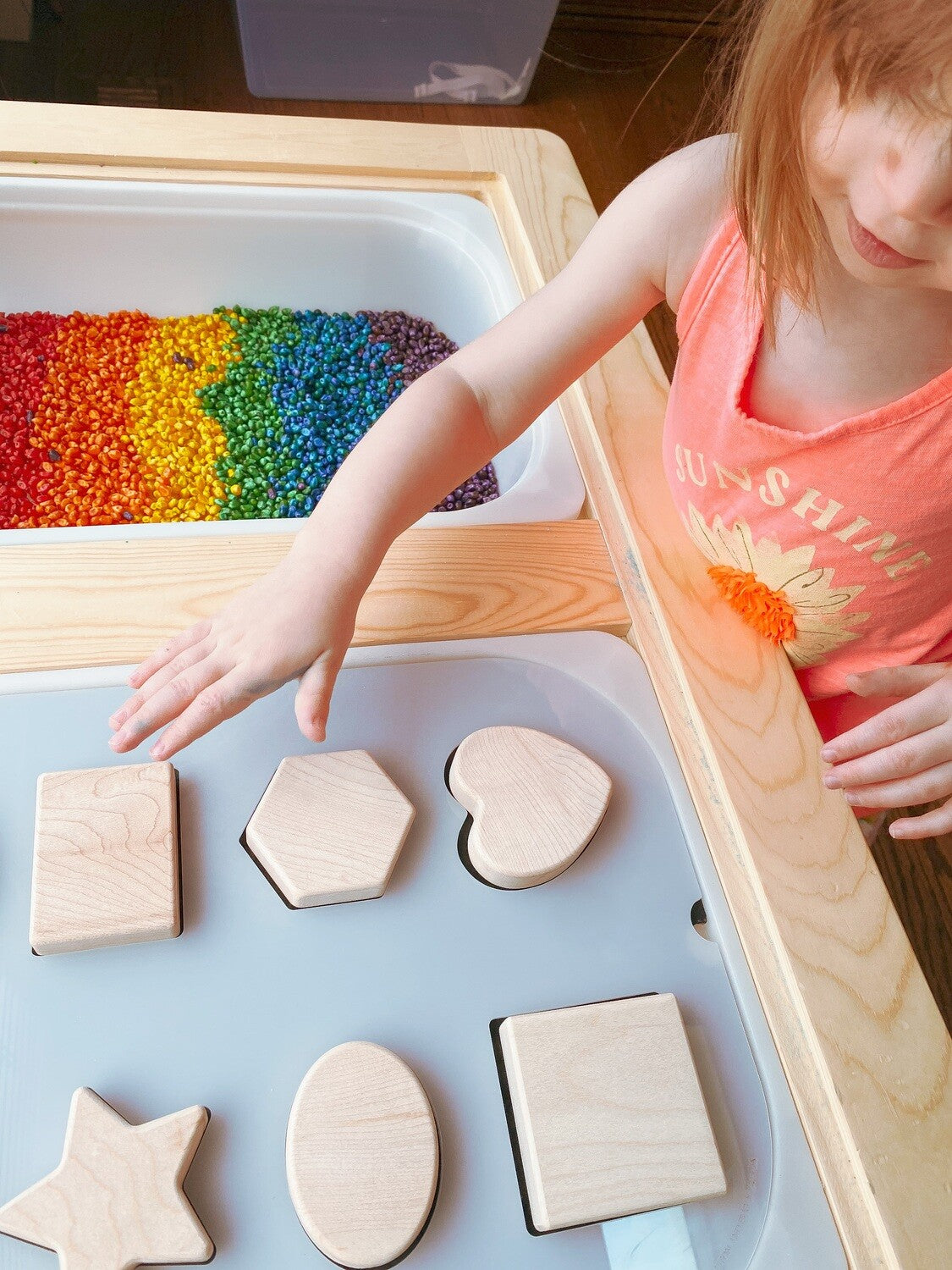 Carry-Play Shape Sorter Board