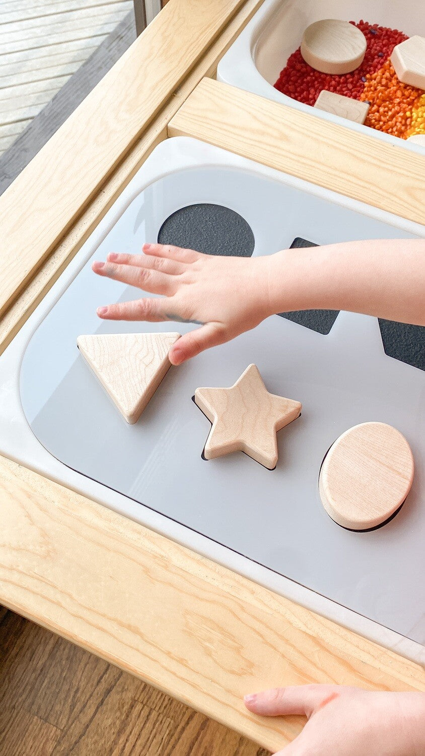 Carry-Play Shape Sorter Board