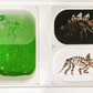 Dinosaur Insert