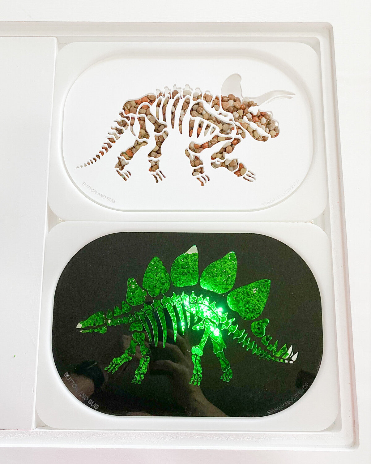 Dinosaur Insert