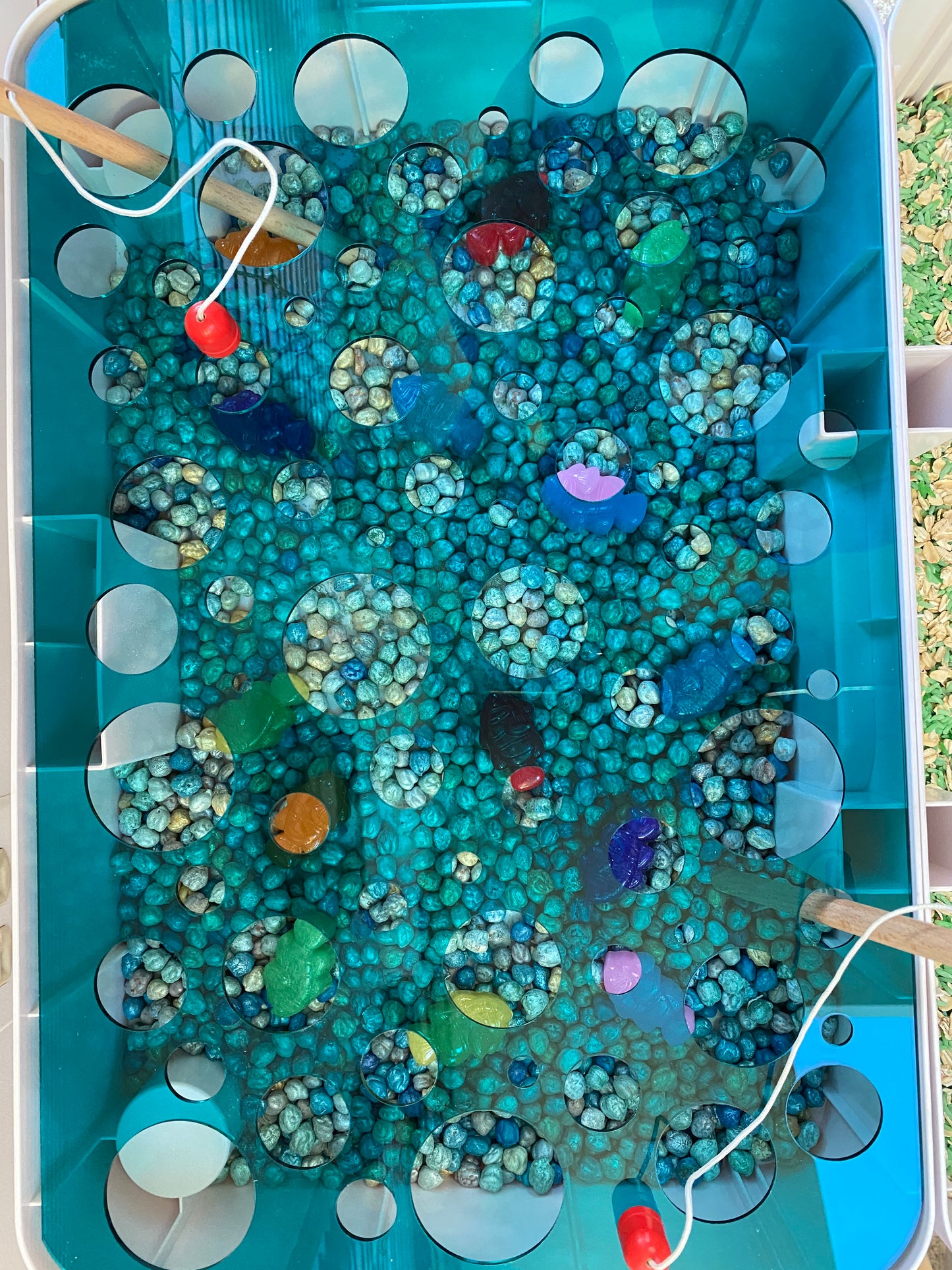Carry-Play Pom Pom Push